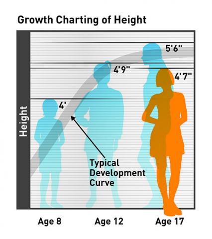 Height Prediction Chart
