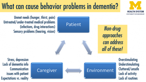 Causes of dementia behavior issues