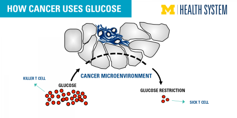 Image result for image of glucose and cancer