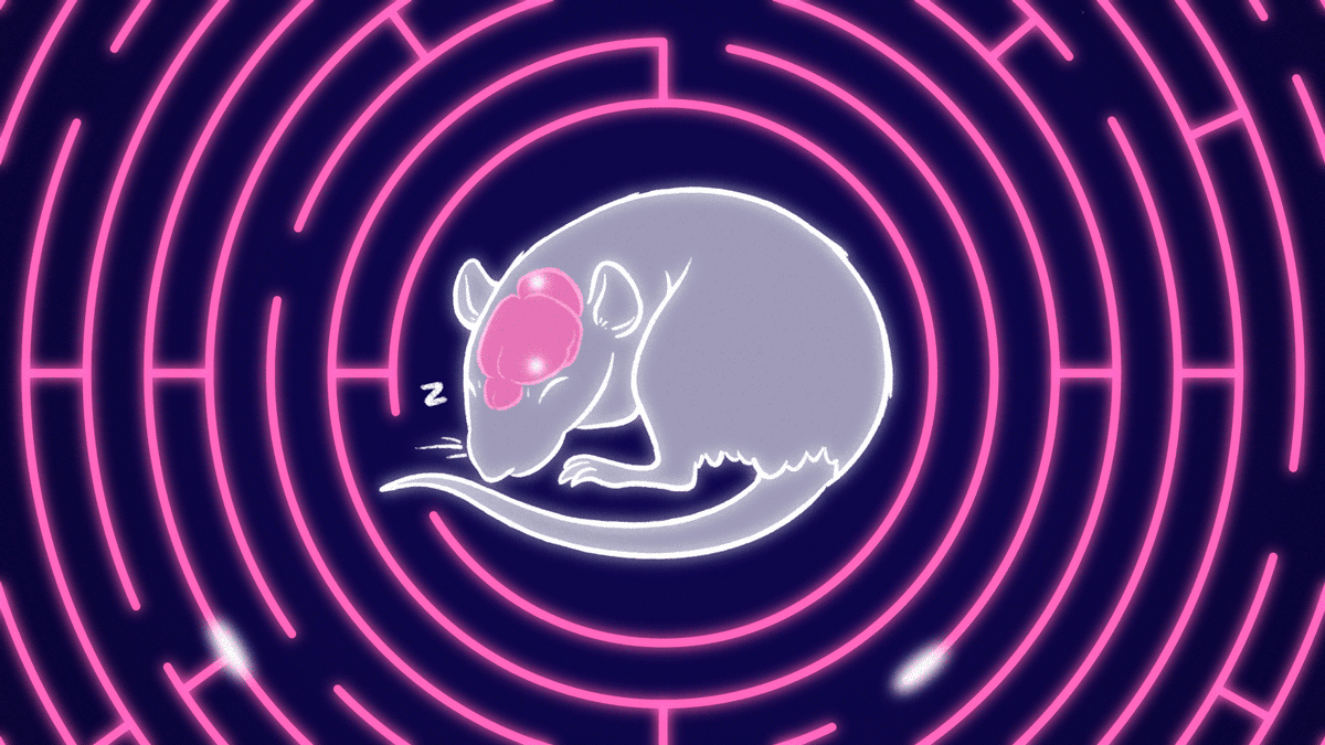 graphic drawn mouse snoozing in purple background and pink maze around it breathing while sleeping and see pink brain inside head with white sparkles fading in and out