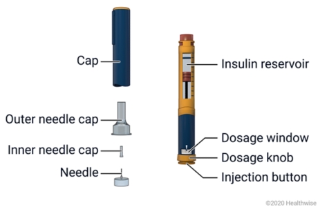 Insulin pen, with each part labeled