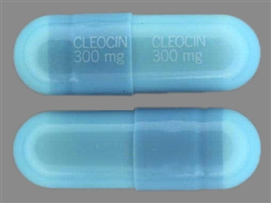 Image of Cleocin HCl