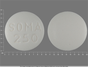 Image of Soma