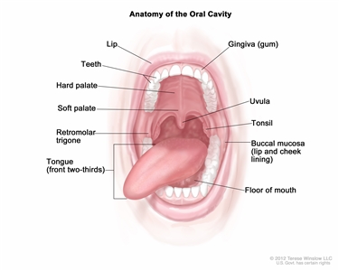 Childhood Oral Cavity Cancer Treatment Pdq Treatment Patient