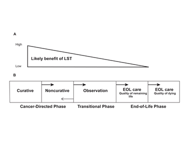 Diagram showing a phase model of planning the transition to end-of-life (EOL) care in advanced cancer.