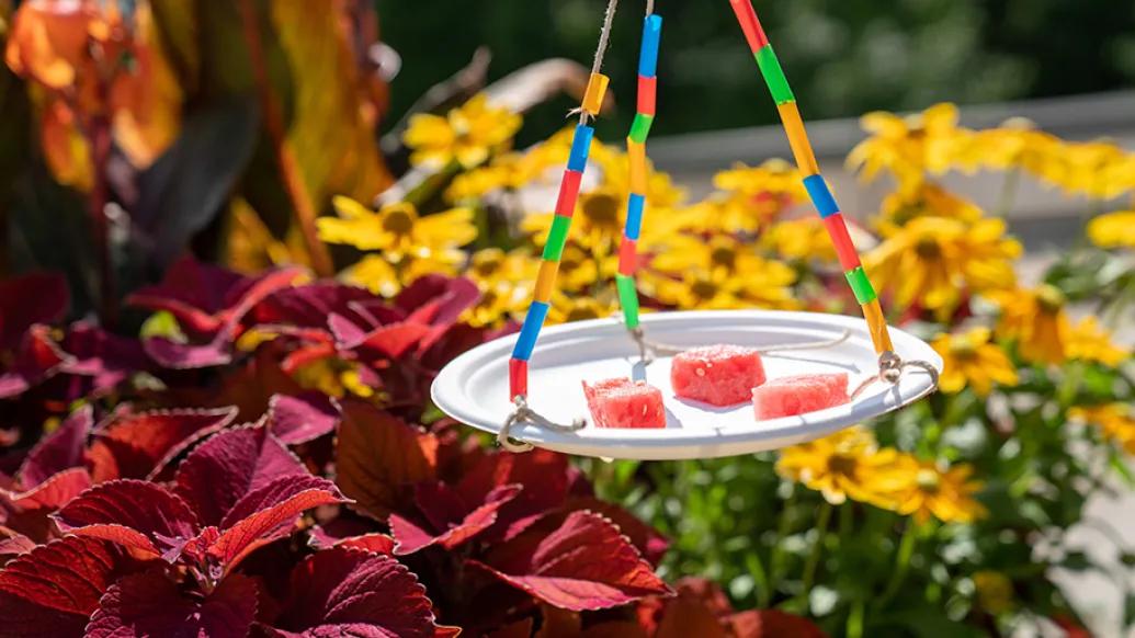 paper plate with butterfly treats hangs above flowers