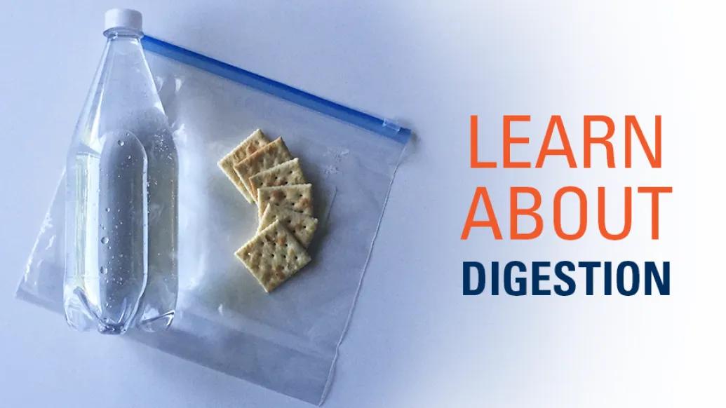 clear soda and crackers on top of bag with "Learn About Digestion" title