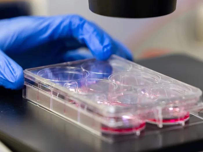 blues gloves in lab samples container