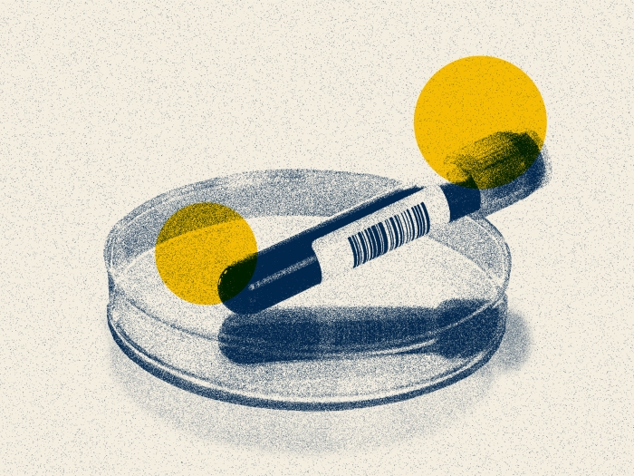 vial of blood over dish blue yellow