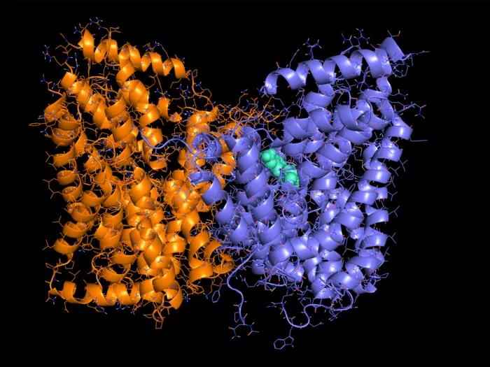 close up of orange and purple squiggle-looking cells merging and a little green in the middle