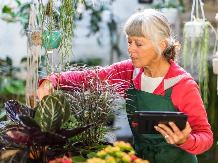 older woman taking care of plants at a job