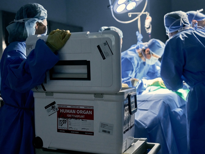 doctors in surgery room over surgery table with cooler open with labels on it