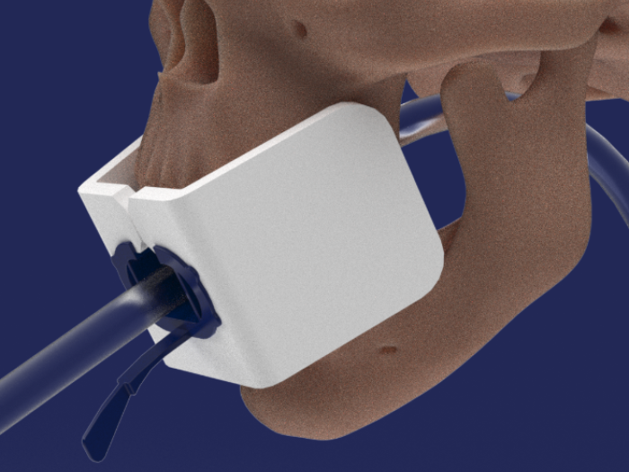 image of a white shape over a mouth of a skull model that's tan on a blue background