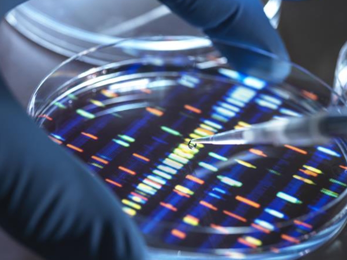 close up of genetic coding in dish colorful blue lab gloves