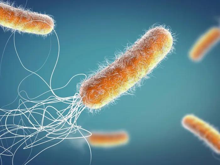 orange long germ cell floating through air with blue background with white strings following each which are going in all different directions