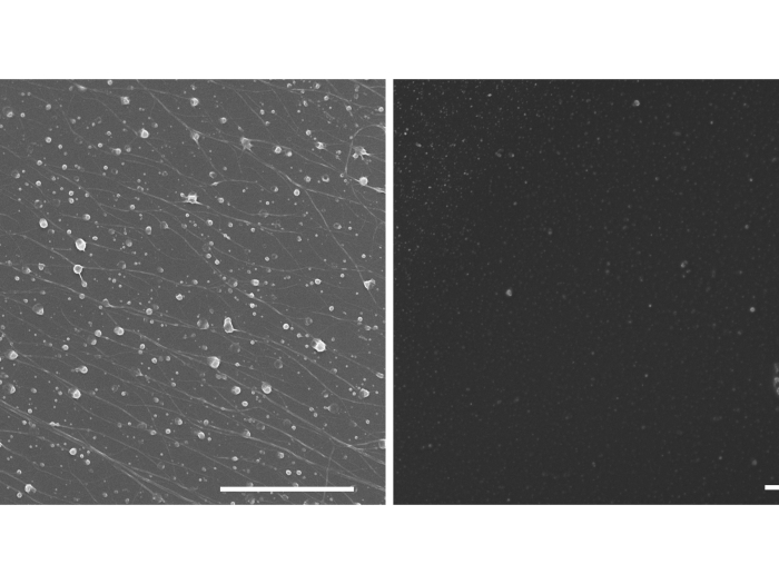 grey image with small white specs next to black image side by side close up