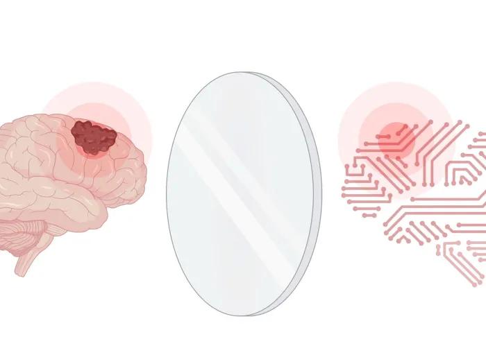 The illustration depicts a brain with a glioma and its digital twin. 