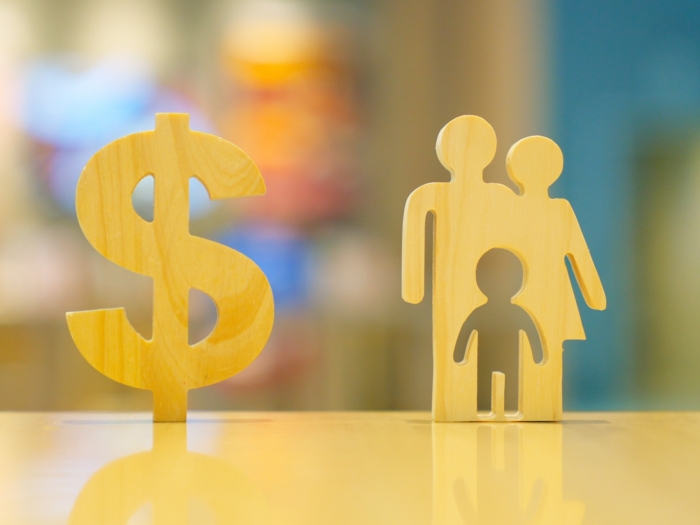 Family and dollar icon, Security protection and health insurance. The concept of family home, foster care, protection, health care day.