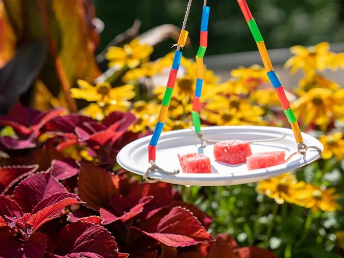 paper plate with butterfly treats hangs above flowers