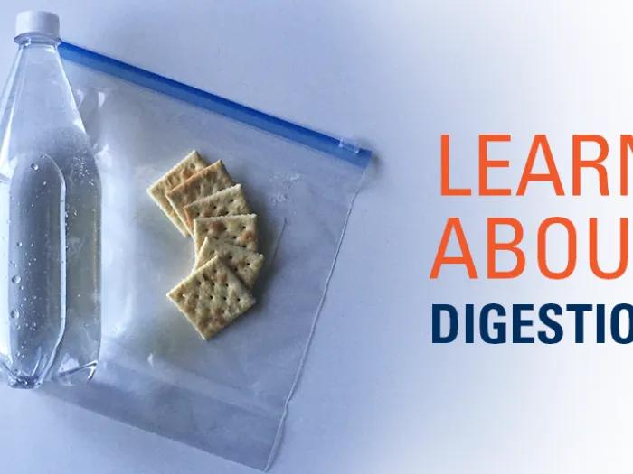 clear soda and crackers on top of bag with "Learn About Digestion" title