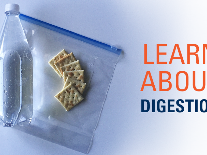 clear soda and crackers on top of bag with "Learn About Digestion" title