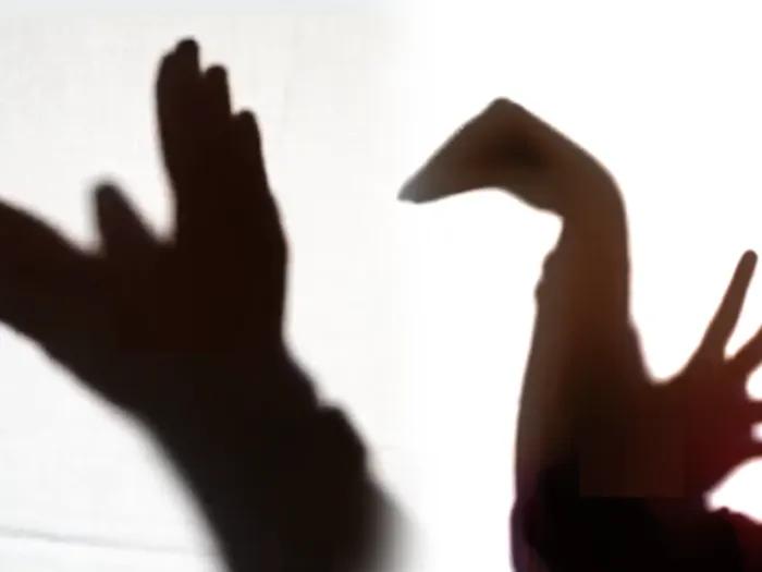 Hands creating a shadow of an animal with white sheet