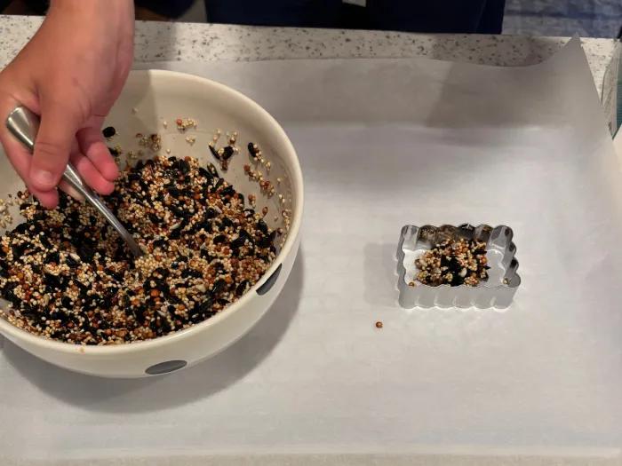 boy scooping bird seed into cookie cutter on tray