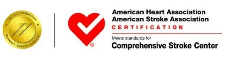 comprehensive stroke center badge