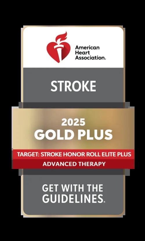 Stroke 2025 Gold Plus