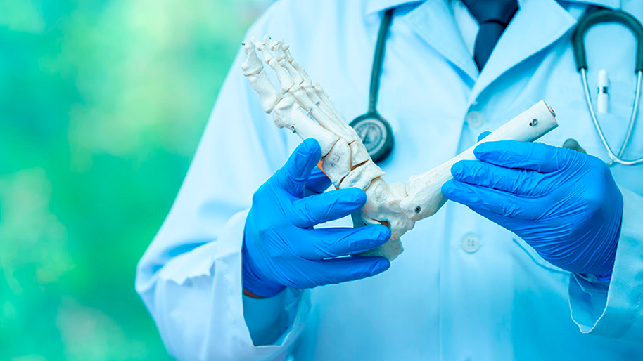 Doctor-Holding-Skeletal-Foot-Bones