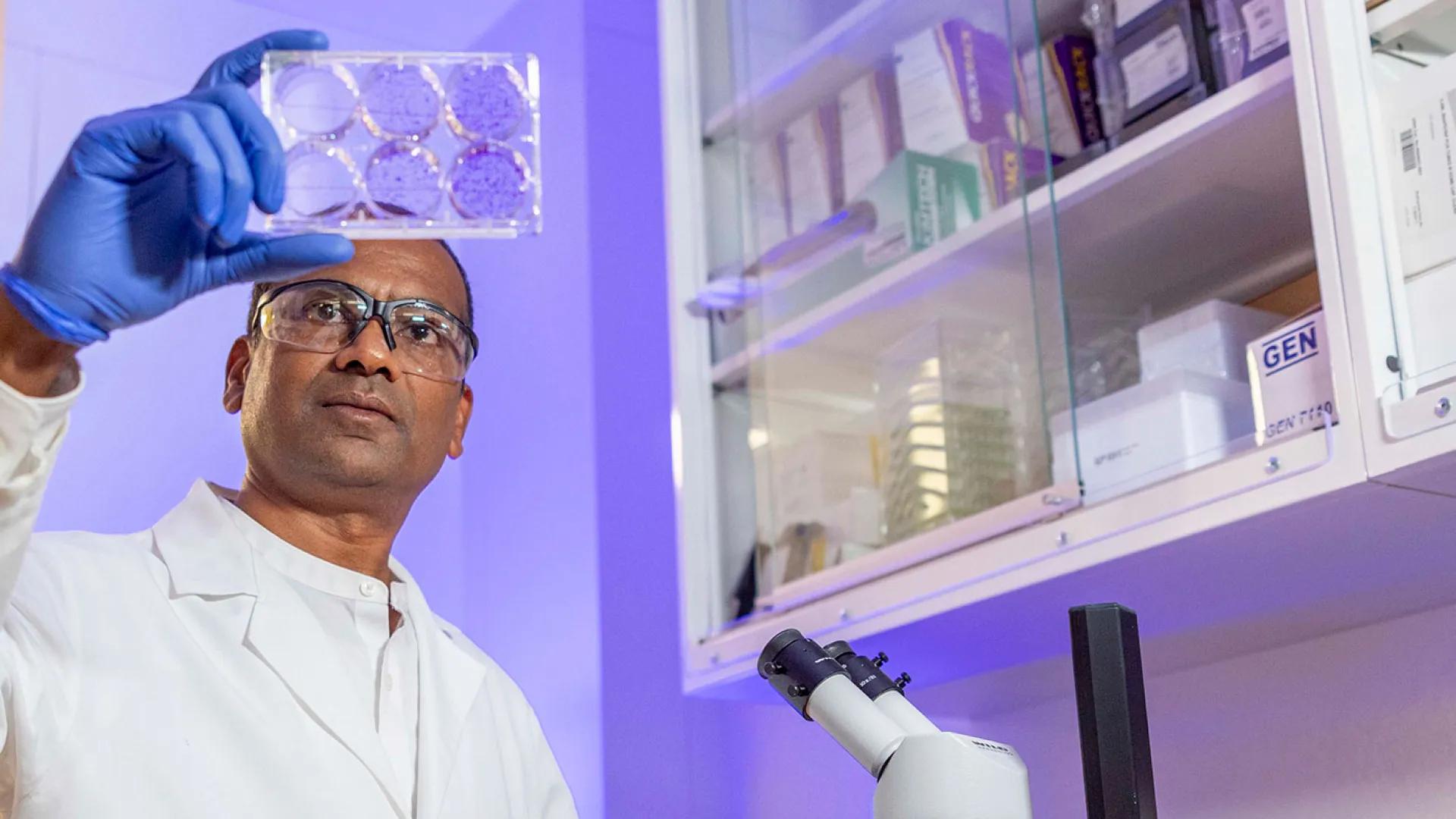 Black male doctor looks at a cellular array