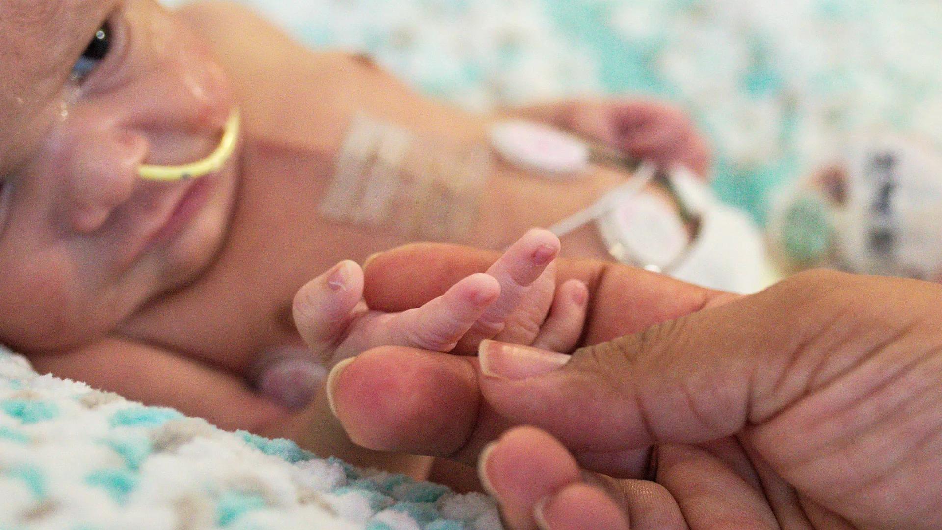 Newborn baby with nasal tube with tiny hand held by adult hand