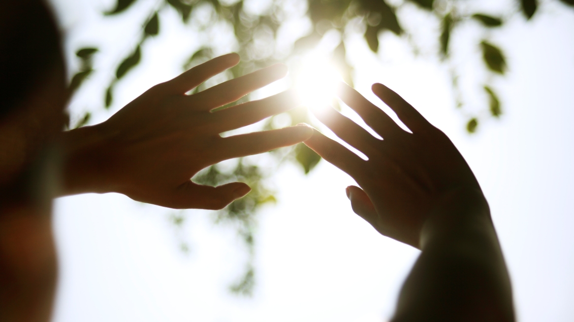 hands up in to sun blocking it in shadowy area under tree