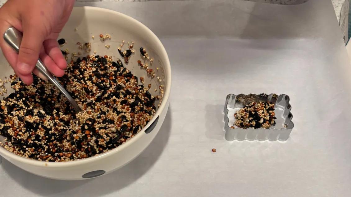 boy scooping bird seed into cookie cutter on tray