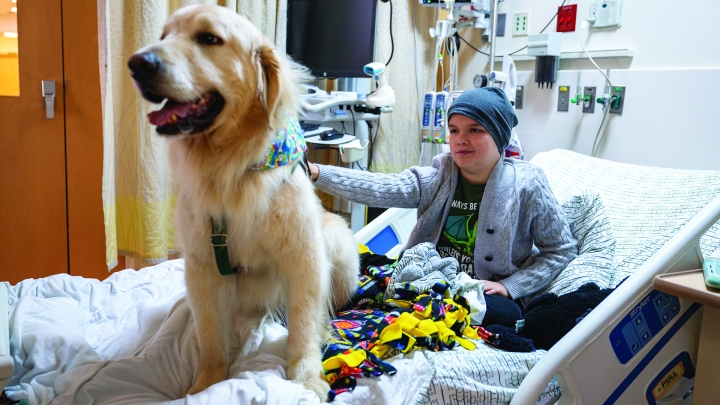 A golden retriever sits on a child's hospital bed. The child is petting the dog, and both are looking happy.