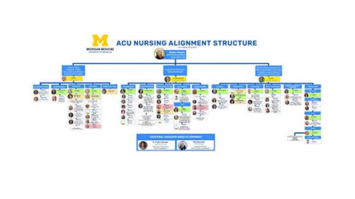 ACU Nursing Alignment Structure