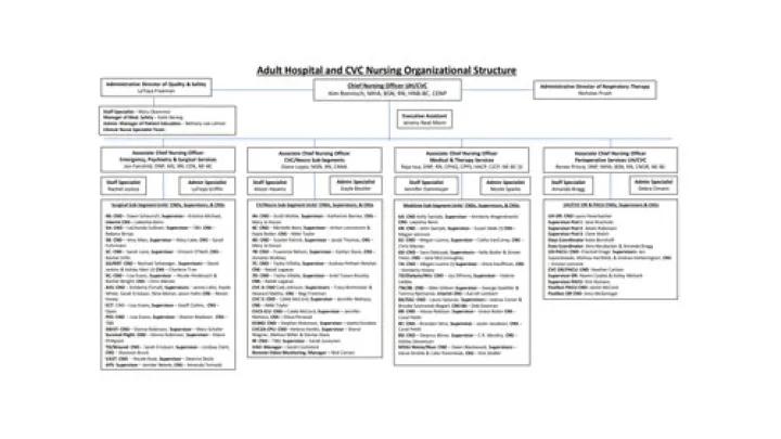 Organizational Chart Adult Hospitals and CVC Nursing