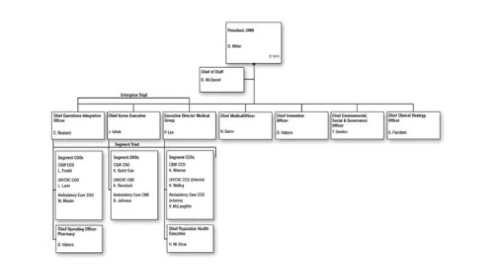 Organizational Chart Clinical Enterprise