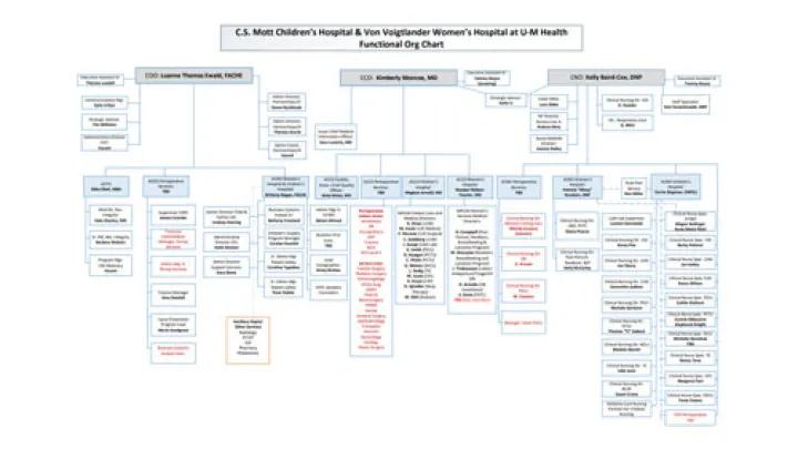 Nursing Organizational Chart CW and VVWH
