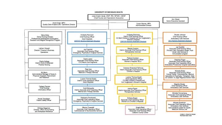 Nursing Organizational Chart