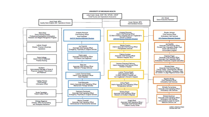 Nursing Organizational Chart