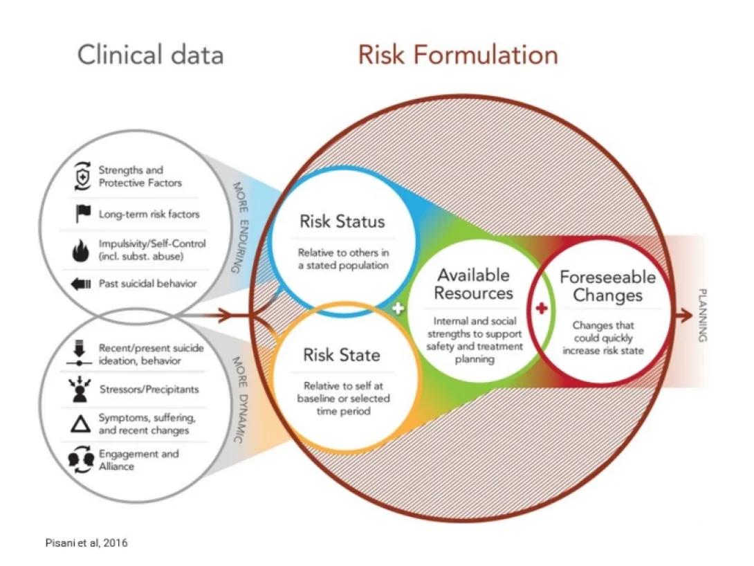 circle diagrams for risk formulation model